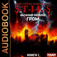 Василий Лазарев. S-T-I-K-S. Гром. Книга 1