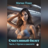 . Счастливый билет. Часть 1. Оргия в самолёте