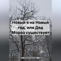 . Новый я на Новый год, или Дед Мороз существует