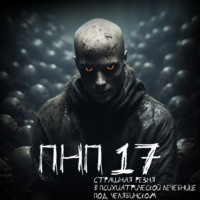 . ПНП №17