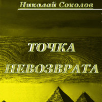 Николай Григорьевич Соколов. Точка невозврата