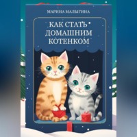 . Как стать домашним котенком