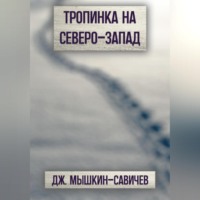 . Тропинка на северо-запад