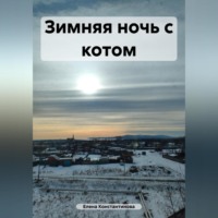 . Зимняя ночь с котом
