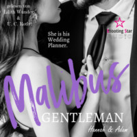 . Malibus Gentlemen: Hannah & Adam - Malibus Summer Feelings, Band 1 (ungek?rzt)