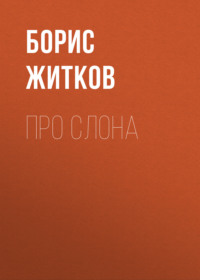 . Про слона