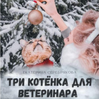 . Три котёнка для ветеринара