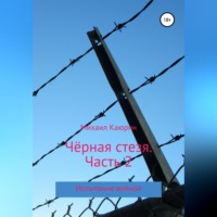 Михаил Александрович Каюрин. Чёрная стезя. Часть 2