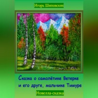 . Сказка о самолётике Ветерке и его друге, мальчике Тимуре
