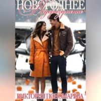 . Новогоднее недоразумение