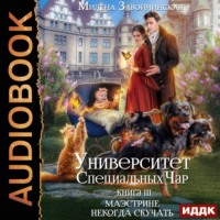 . Университет Специальных Чар. Книга 3. Маэстрине некогда скучать