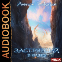 . Застрявший. Книга 3. Застрявший в Кишке