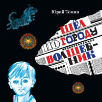 . Шёл по городу волшебник
