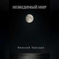 Николай Трясцын. Невидимый мир