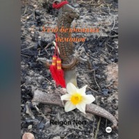 Reigon Nort. Уезд бездомных демонов