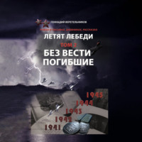 . Летят Лебеди. Том 2. Без вести погибшие