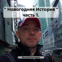 . «Новогодняя История» часть 1.