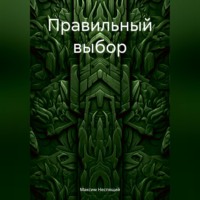 Максим Олегович Неспящий. Правильный выбор