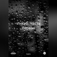 . Инкуб. Часть первая
