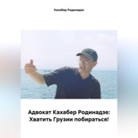 Кахабер Отарович Родинадзе. Адвокат Кахабер Родинадзе: Хватить Грузии побираться!