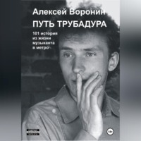 . Путь трубадура. 101 история из жизни музыканта в метро