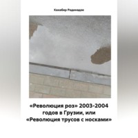 Кахабер Отарович Родинадзе. «Революция роз» 2003-2004 годов в Грузии, или «Революция трусов с носками»