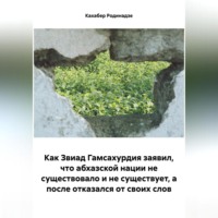 Кахабер Отарович Родинадзе. Как Звиад Гамсахурдия заявил, что абхазской нации не существовало и не существует, а после отказался от своих слов
