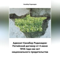Кахабер Отарович Родинадзе. Адвокат Кахабер Родинадзе: Потийский договор от 4 июня 1918 года как акт национального предательства