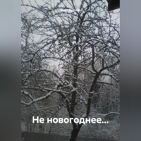 . Не новогоднее…