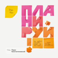 Игорь Манн. Планируй. Как правильно планировать каждый год своей жизни и сделать максимум запланированного