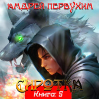 Андрей Первухин. Сиротка. Книга пятая