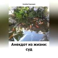 . Анекдот из жизни: суд