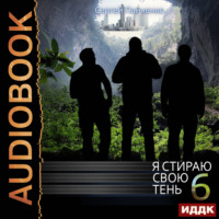 . Я стираю свою тень. Книга 6