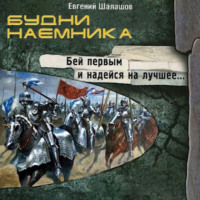 . Будни наемника