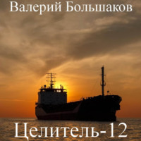 Валерий Большаков. Целитель. Малышка из Рио