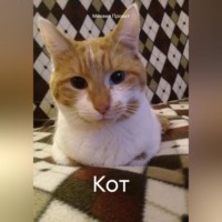 . Кот