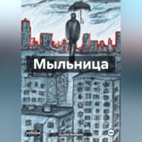 . Мыльница