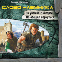. Слово наемника