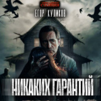 Егор Куликов. Никаких гарантий