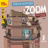 . Zoom. Карантинная история