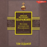 . История государства Российского. От начала XVI до начала XVII в. Том седьмой