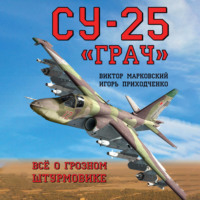 . Су-25 «Грач». Всё о грозном штурмовике