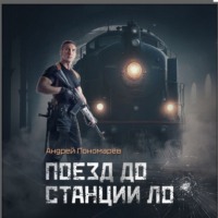 . Поезд до станции ЛО