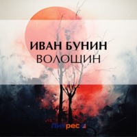 Иван Бунин. Волошин