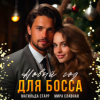 Мира Славная. Новый год для босса