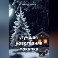 Константин Оборотов. Лучшая новогодняя покупка
