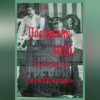 Георгий Комиссаров. Посланник МИД. Книга третья