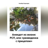 . Анекдот из жизни: РСП, или «разведенка с прицепом»