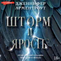 . Шторм и ярость