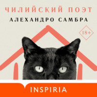 . Чилийский поэт